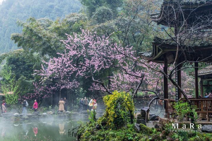 泡脚有没有好处呢？游戏画面