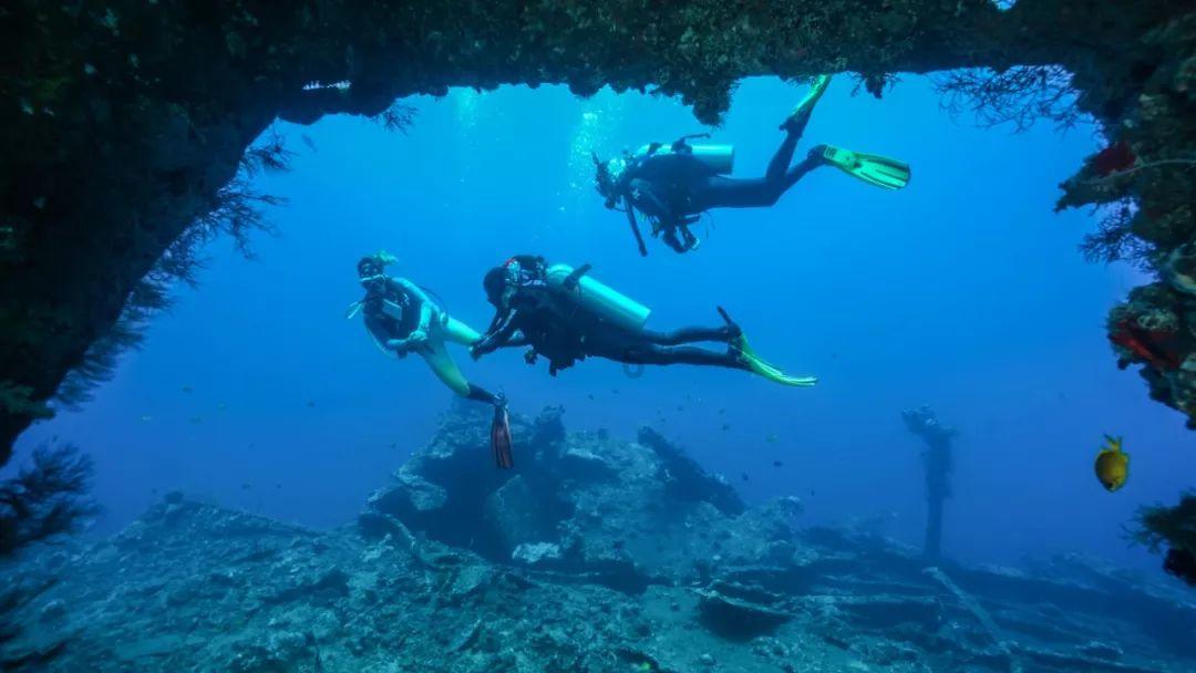 海之号角神秘海怪